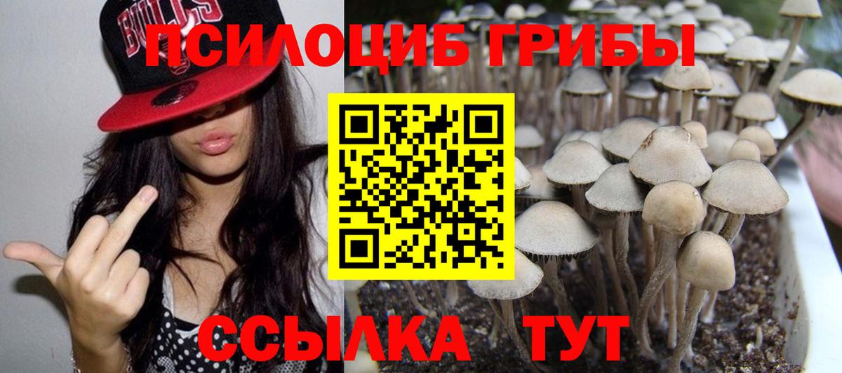 Псилоцибиновые грибы мицелий Нарткала