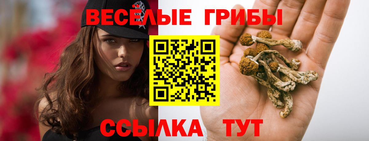 Нарткала  Псилоцибиновые грибы GOLDEN TEACHER  Вход с VPN 